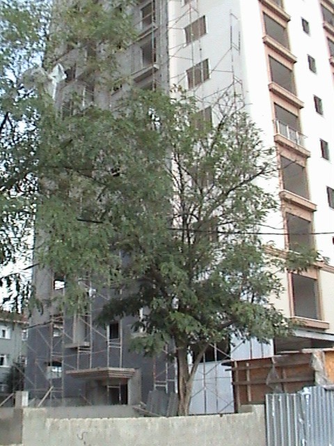 Versante Tower 2-156